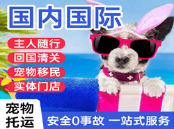 布拉克航空运输国际宠物托运 【国